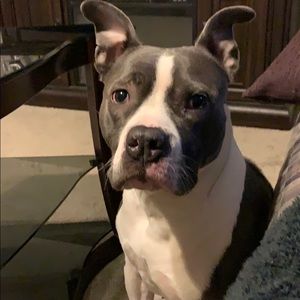 Meet your Posher, Gary